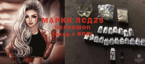 хмурый Алзамай