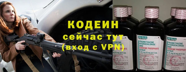хмурый Алзамай