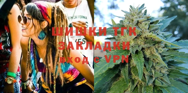 хмурый Алзамай