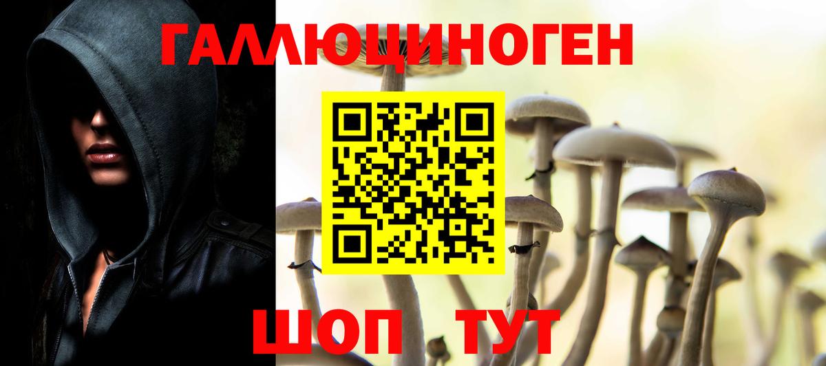Галлюциногенные грибы Psilocybine cubensis Сорочинск